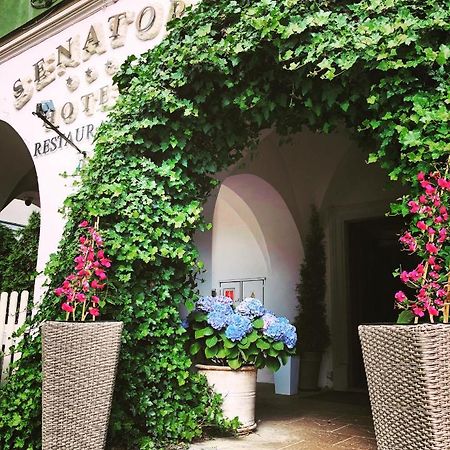 Hotel Senator Zamość المظهر الخارجي الصورة